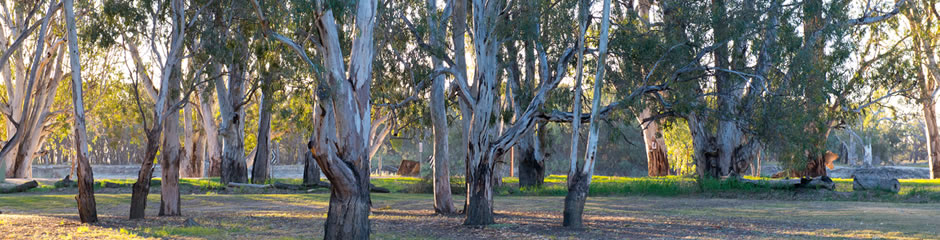 Loxton Holiday Park