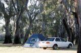 Unpowered Site - Loxton Riverfront Caravan Park